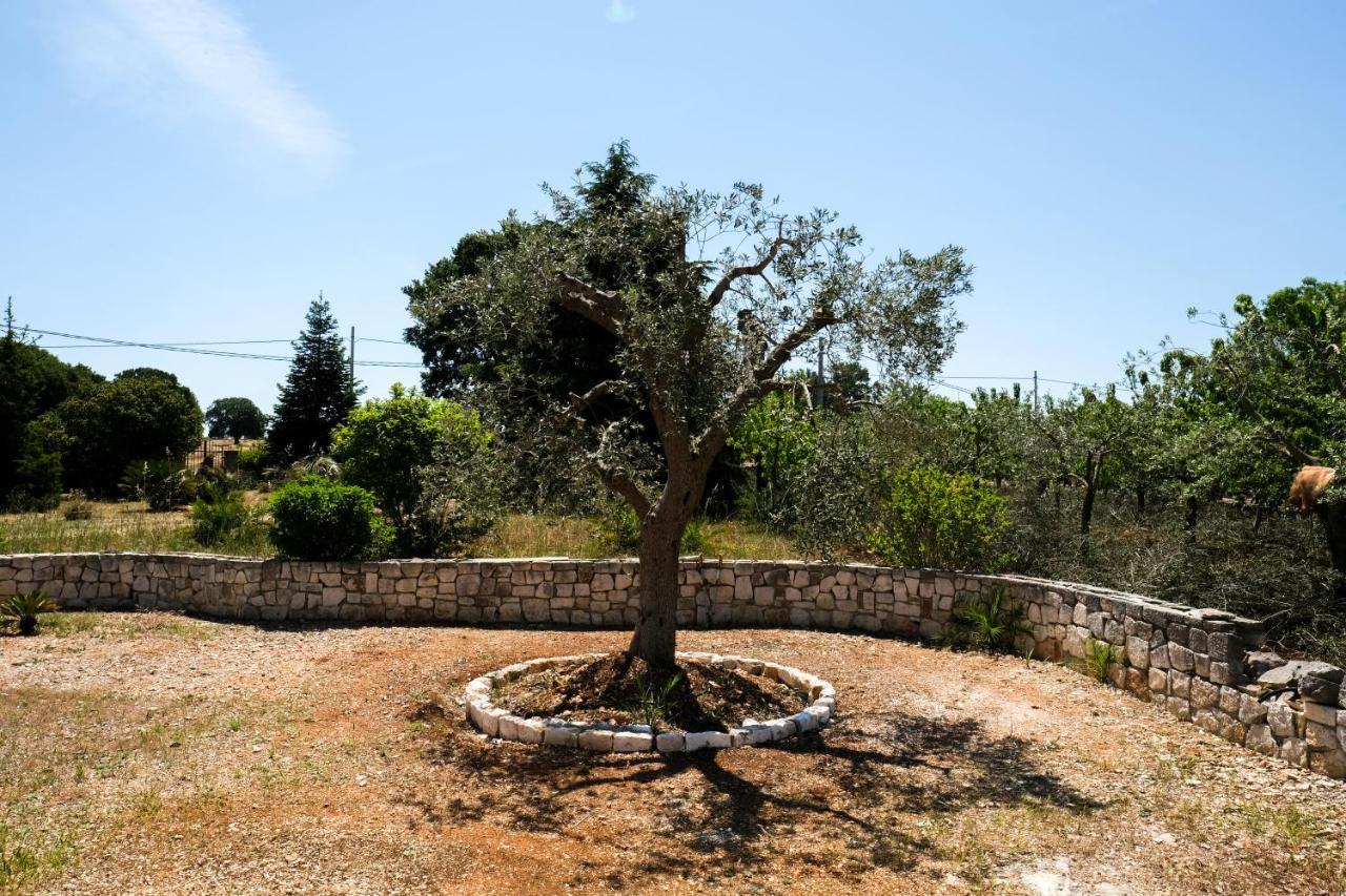 הוילה מונופולי Trullo Elvira & Luigi מראה חיצוני תמונה