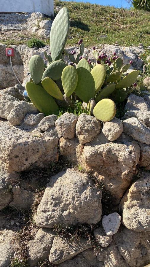 הוילה מונופולי Trullo Elvira & Luigi מראה חיצוני תמונה